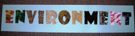 Championing the Environment Image